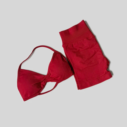 Seamless Fitness Set – High Waist Shorts & Tank Top