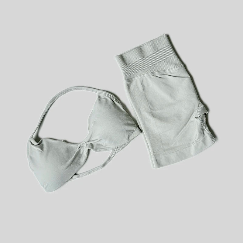 Seamless Fitness Set – High Waist Shorts & Tank Top